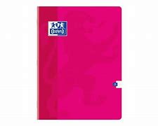 2 cahiers 24*32 96 pages carreaux Seyes